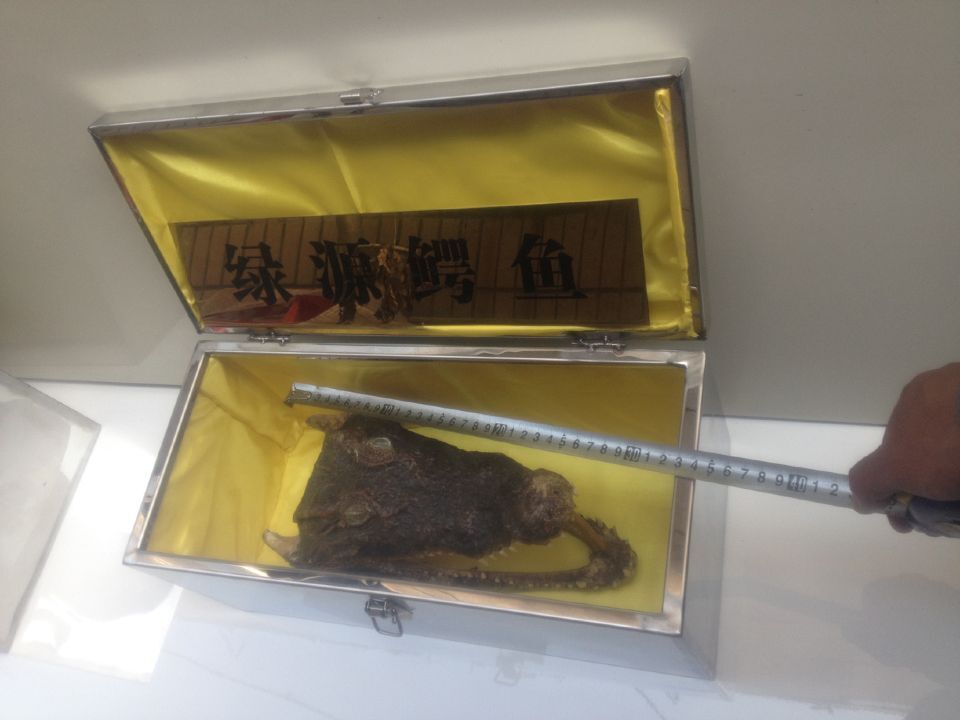 河南绿源鳄鱼开发有限公司