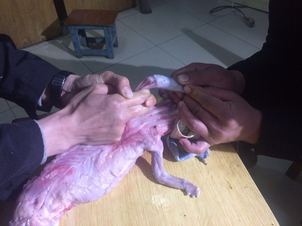 继续用力拉 一人抓着肉 另一人抓着皮