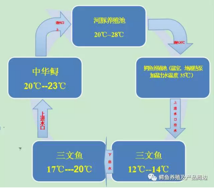河南绿源鳄鱼开发有限公司是一家专门从事鳄鱼和鳄鱼龟养殖、繁殖及销售，鳄鱼及鳄鱼龟深加工产品的研发销售，发展鳄鱼观光业的企业。主要驯养暹罗鳄，湾鳄，尼罗鳄三种经济利用鳄鱼，大鳄鱼龟（又称刺鳄），小鳄鱼龟（又称平鳄）；常年面向全社会供应各阶段活体鳄鱼，鳄鱼龟，鳄鱼苗，鳄鱼肉，鳄鱼皮带鳄鱼皮包等鳄鱼皮革制品；鳄鱼保健酒系列，鳄鱼标本，鳄鱼血米等鳄鱼周边产品。公司实施公司+农户政策，免费提供鳄鱼养殖技术、建场方案、办理鳄鱼驯养繁殖许可证所需的资料。欢迎广大餐饮企业和中间商客户加盟。公司官网：www.eyuyangzhi.com.公众号：鳄鱼养殖及产品周边 eyuyangzhi__lvyuan
