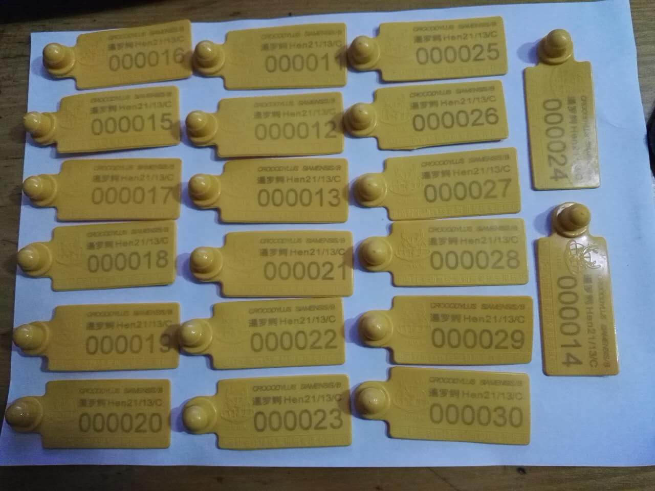 活体鳄鱼合法销售证书